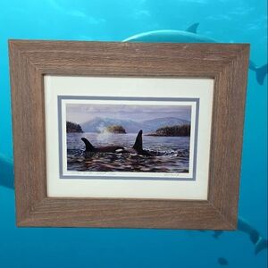 Ed Newbold Orcas In The Salish Sea Dolphin Family Mammal Ocean Life Coastal Vibe